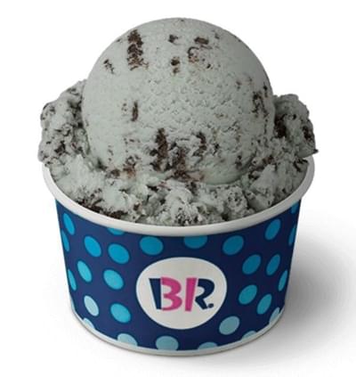 Baskin-Robbins Small Scoop Mint Chocolate Chip Ice Cream Nutrition Facts