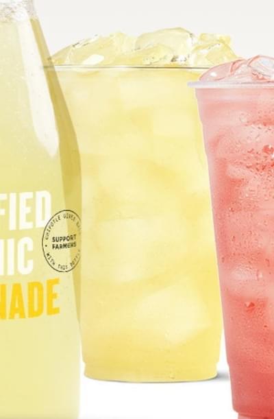 Chipotle Large Tractor Lemonade Nutrition Facts