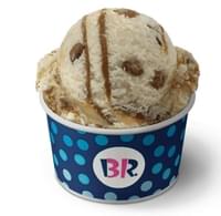 Baskin-Robbins Pralines 'n Cream Ice Cream