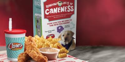 Raising Cane's Kids Combo Nutrition Facts