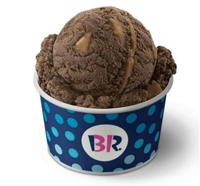 Baskin-Robbins Small Scoop Peanut Butter 'n Chocolate Ice Cream Nutrition Facts