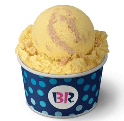 Baskin-Robbins Small Scoop Key Lime Pie Ice Cream Nutrition Facts