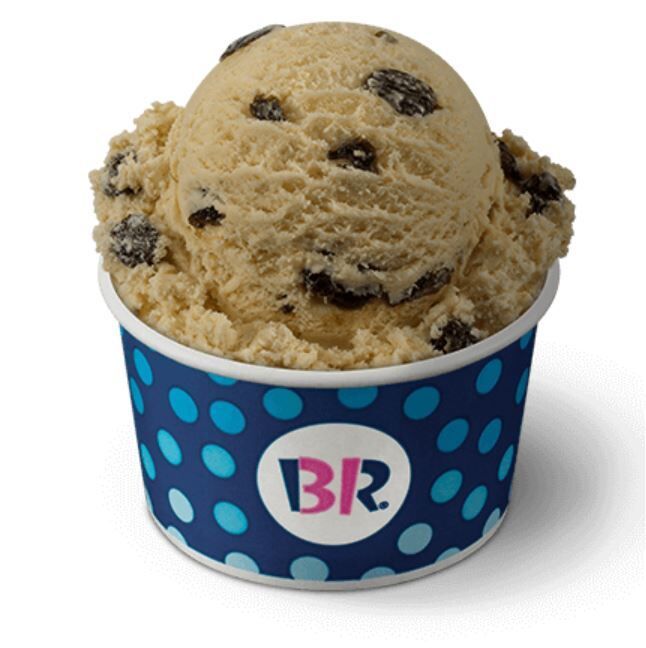 BaskinRobbins Rum Raisin Ice Cream Nutrition Facts