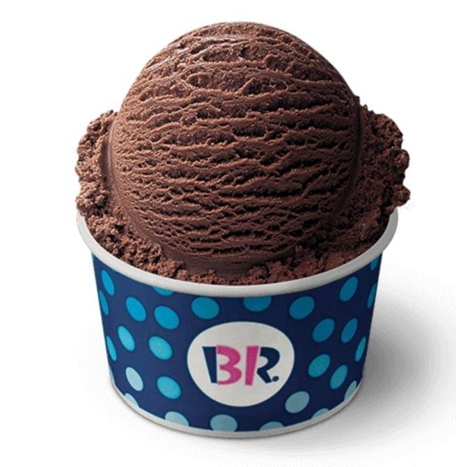 Baskin-Robbins Large Scoop Chocolate Ice Cream Nutrition Facts
