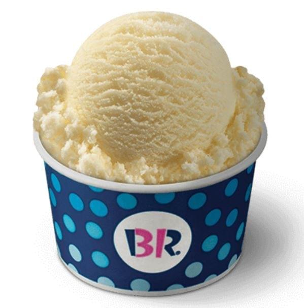 Baskin-Robbins Fat-Free Vanilla Frozen Yogurt Nutrition Facts